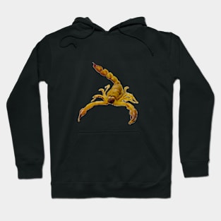 Scorpion Hoodie